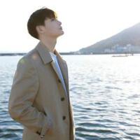 过年回家的歌曲_回家过年的车上听的歌