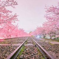 比较火的旅行背景音乐_适合旅行路上的歌曲