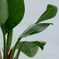 听不腻的英文歌