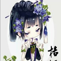 最美古风中国风流年匆忙，对错何妨（停更）