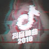 2018年抖音最火背景乐精选集