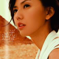 2007年度金曲