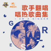 歌手翻唱唱热歌曲集