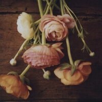 柔情小调Jazz/indiefolk/indiepop