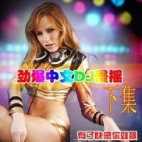 中文电音DJ慢摇--下集