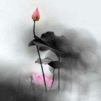 一音倾城，再而倾人（古风）