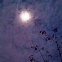 晚上一个人静静听，感受自己，感受心底。