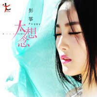 Hi－Fi车载煲