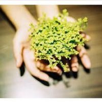 戴上耳机与世隔绝1