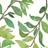 巴赫无伴奏大提琴组曲第一号