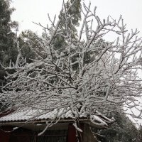 那些年，那些人