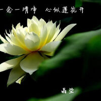 【一念一清净心似莲花开】无尘静心佛乐梵唱