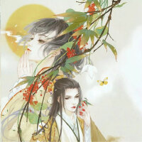 半盏浮生半盏茶