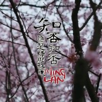 中文
