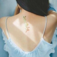 「治愈美嗓」近海一般温柔，如在梦中