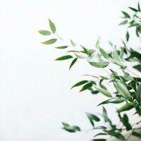 十年，我在九酷的十年。