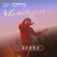 自在如风的律动|一周新歌|荒岛自制卡带®