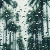助眠ASMR|优质雨声伴你入睡