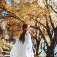 【古风】露水凝霜，落叶金黄