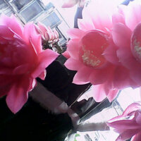 伤感歌曲