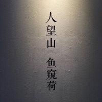 Foryou|听，惊艳的小众歌手