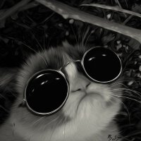 ▲诗一样的rap
