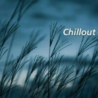 Chill（自用）