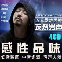 极品试音碟（磁性男声）