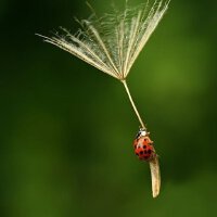 粤语歌词精选