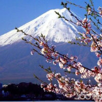 流金岁月之日本经典