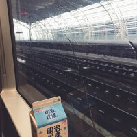 我想好好和你说再见