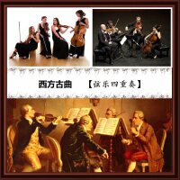 【随身听古典系列】西方古曲【弦乐四重奏】精选音乐五十首