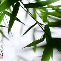 古韵悠长，我爱的东方味道。（轻音乐）（第二辑）
