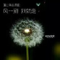 ”那些年忧伤的旋律”