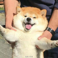 经典华语歌的日文原版