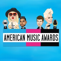 2013全美音乐奖（AmericanMusicAwards）