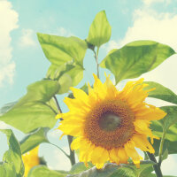 ♬那些年我们追过的韩剧OST