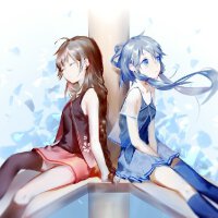 血浸染的白玫瑰