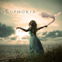 数万首收藏中的保留曲目集第30期：Euphoria