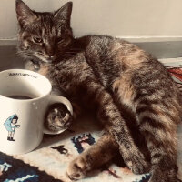 chillbeats,jazzy&coffee