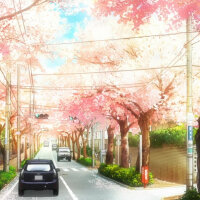 致你的春天