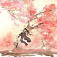 花谢花飞花满天