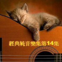 經典純音樂集第14集