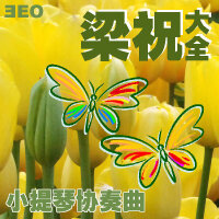 梁祝TheButterflyLove大全—小提琴协奏曲