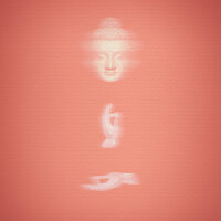 关于迷幻自赏的一切