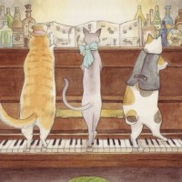 遇见温暖的人听些美好的歌♪钢琴纯音篇♫