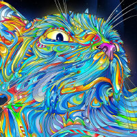 独立、迷幻、经典--一些你早该听的歌曲！
