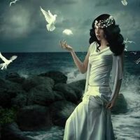 海至海岸，浪花缱绻