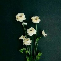 今后路途遥远总需深拥