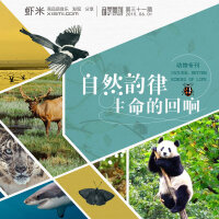 九酷音乐周刊第三十一期精选集【生命的回响动物专刊】